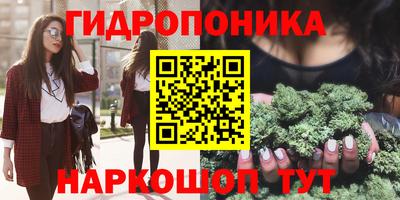 сатива Бердск