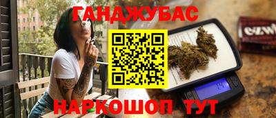 сатива Бердск