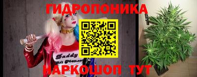 сатива Бердск