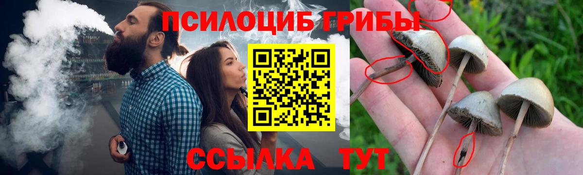 Галлюциногенные грибы MAGIC MUSHROOMS Рыбинск